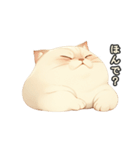 関西弁×ぽっちゃり猫！シロモチさん。（個別スタンプ：31）