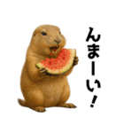 プレーリードッグな日々（個別スタンプ：3）