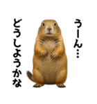プレーリードッグな日々（個別スタンプ：10）