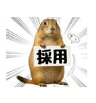 プレーリードッグな日々（個別スタンプ：11）