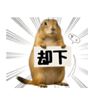 プレーリードッグな日々（個別スタンプ：12）