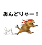 プレーリードッグな日々（個別スタンプ：13）
