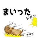 プレーリードッグな日々（個別スタンプ：14）