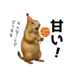 プレーリードッグな日々（個別スタンプ：16）