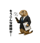 プレーリードッグな日々（個別スタンプ：20）
