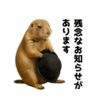 プレーリードッグな日々（個別スタンプ：22）