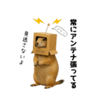 プレーリードッグな日々（個別スタンプ：26）