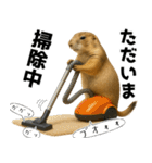 プレーリードッグな日々（個別スタンプ：33）