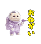 惑星Xからの物体ねこ（個別スタンプ：1）
