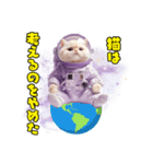 惑星Xからの物体ねこ（個別スタンプ：4）