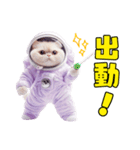惑星Xからの物体ねこ（個別スタンプ：11）