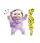惑星Xからの物体ねこ（個別スタンプ：14）