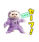 惑星Xからの物体ねこ（個別スタンプ：16）