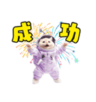 惑星Xからの物体ねこ（個別スタンプ：19）