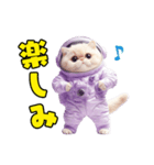 惑星Xからの物体ねこ（個別スタンプ：24）