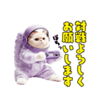 惑星Xからの物体ねこ（個別スタンプ：27）