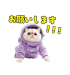 惑星Xからの物体ねこ（個別スタンプ：28）