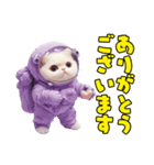 惑星Xからの物体ねこ（個別スタンプ：30）
