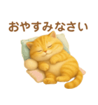 飛び出すむっちり茶トラ猫のまるちゃん（個別スタンプ：1）