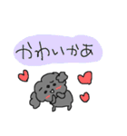 福岡大好き！ 黒いトイプードル！（個別スタンプ：13）