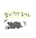 福岡大好き！ 黒いトイプードル！（個別スタンプ：16）