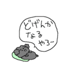 福岡大好き！ 黒いトイプードル！（個別スタンプ：33）