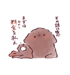 トイプードルのような何か＋‪α（個別スタンプ：13）