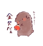 トイプードルのような何か＋‪α（個別スタンプ：24）