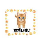 子猫のライチくん2（個別スタンプ：2）