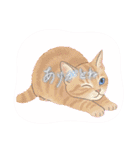 子猫のライチくん2（個別スタンプ：3）