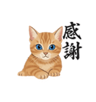 子猫のライチくん2（個別スタンプ：6）