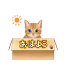 子猫のライチくん2（個別スタンプ：11）