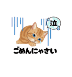 子猫のライチくん2（個別スタンプ：19）