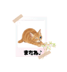 子猫のライチくん2（個別スタンプ：24）