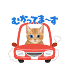 子猫のライチくん2（個別スタンプ：25）