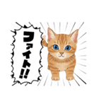 子猫のライチくん2（個別スタンプ：28）