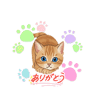 子猫のライチくん2（個別スタンプ：30）
