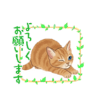 子猫のライチくん2（個別スタンプ：33）