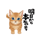 子猫のライチくん2（個別スタンプ：34）