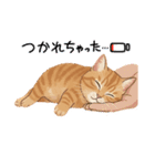 子猫のライチくん2（個別スタンプ：37）