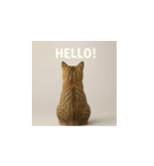 哀愁のいぬとねこ（個別スタンプ：1）