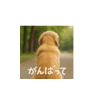 哀愁のいぬとねこ（個別スタンプ：8）