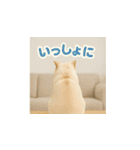 哀愁のいぬとねこ（個別スタンプ：22）