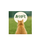 哀愁のいぬとねこ（個別スタンプ：23）