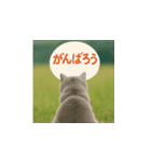 哀愁のいぬとねこ（個別スタンプ：25）