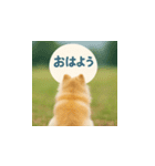 哀愁のいぬとねこ（個別スタンプ：26）