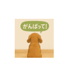 哀愁のいぬとねこ（個別スタンプ：40）