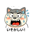 にゃんこ大暴走！（個別スタンプ：8）