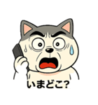 にゃんこ大暴走！（個別スタンプ：11）