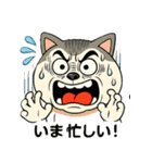 にゃんこ大暴走！（個別スタンプ：16）